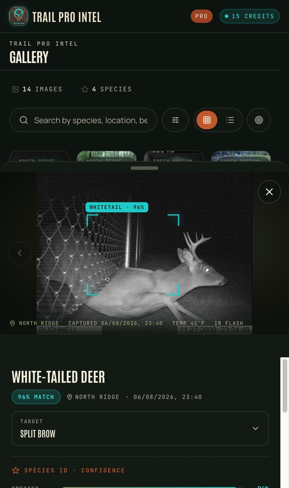 Trail Pro Intel gallery — night trail-camera photo of a whitetail buck with an AI species box reading WHITETAIL · 96% and a 96% match readout